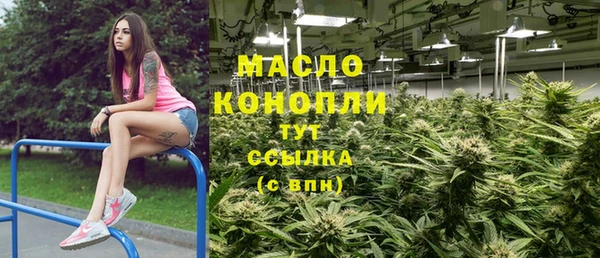 шишки Гусев