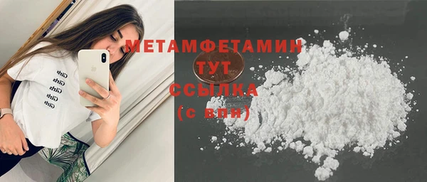 шишки Гусев