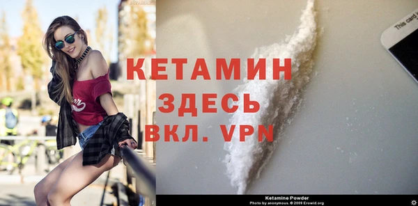 шишки Гусев