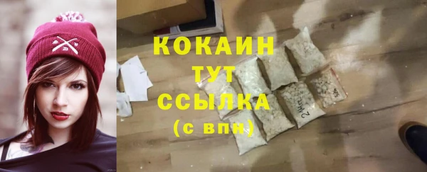 шишки Гусев