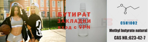 шишки Гусев