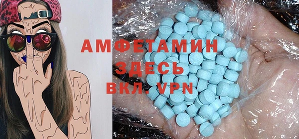 шишки Гусев