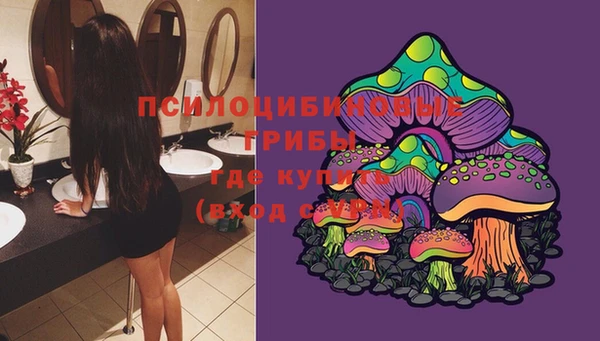 а пвп мука Дмитриев