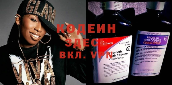 шишки Гусев