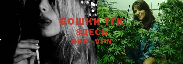 шишки Гусев