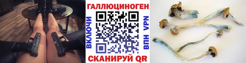 Купить где  Кимовск  Галлюциногенные грибы Psilocybine cubensis 